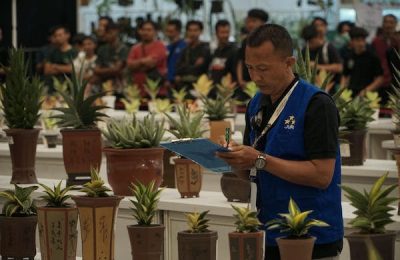 Indonesia yang kaya akan sumber daya tanaman hias